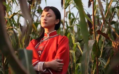 在线观看 高粱红了,红色记忆与革命情怀的深情演绎 第1张 在线观看 高粱红了,红色记忆与革命情怀的深情演绎 第1张