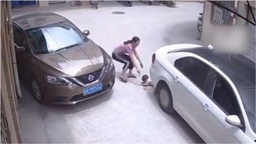 汽车视频爆料大全最新,视频爆料大全深度解析 第3张 汽车视频爆料大全最新,视频爆料大全深度解析 第3张